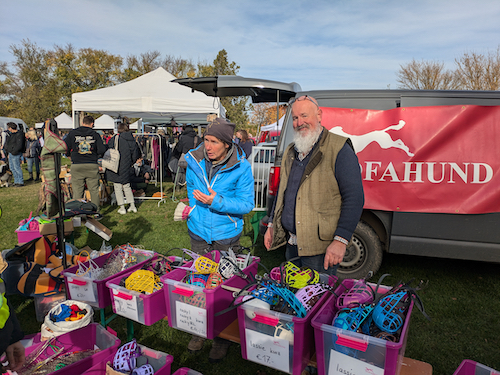 Windhund-Markt